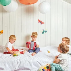 Accordéon Gioia|Janod Hot