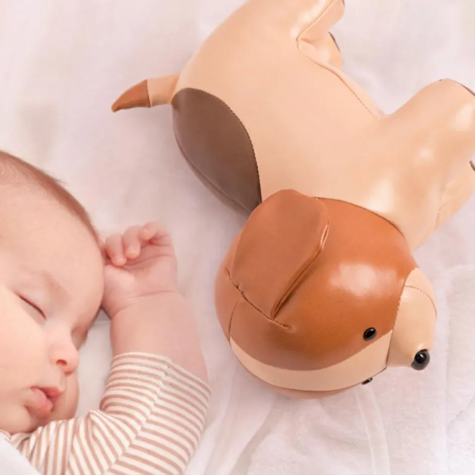 Adrien le Chien musical|Little Big Friends Outlet