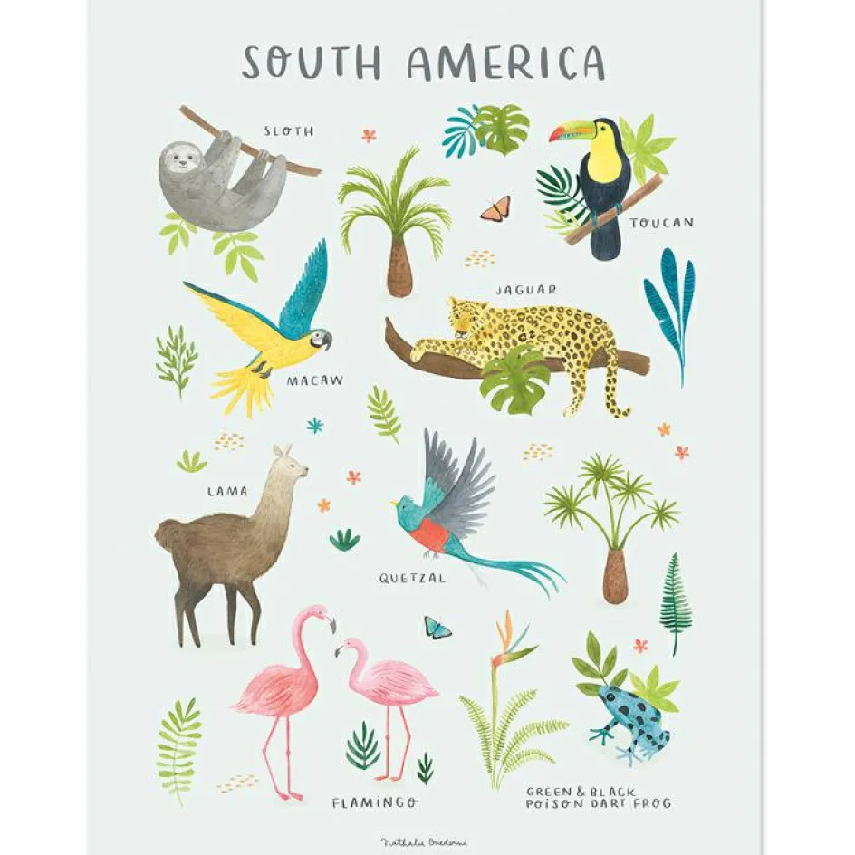 Clearance Lilipinso Affiche Animaux d'Amérique du Sud (30 x 40 cm)
