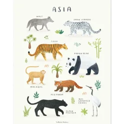 Affiche Animaux d'Asie (30 x 40 cm)|Lilipinso Online