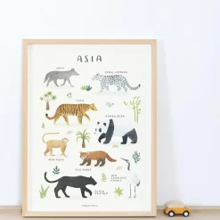 Affiche Animaux d'Asie (30 x 40 cm)|Lilipinso Online