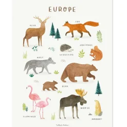 Lilipinso Affiche Animaux d'Europe (30 x 40 cm)