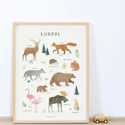 Lilipinso Affiche Animaux d'Europe (30 x 40 cm)