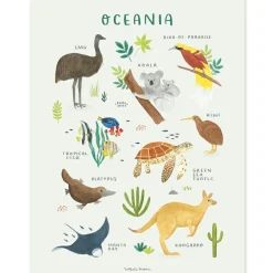 Affiche Animaux d'Océanie (30 x 40 cm)|Lilipinso Sale