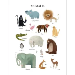 Affiche Les animaux (30x40 cm)|Lilipinso