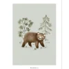 Online Lilipinso Affiche ours Little Bear (30 x 40 cm)