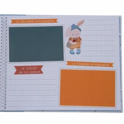 Album naissance ourson Gaston|Amadeus Les Petits New