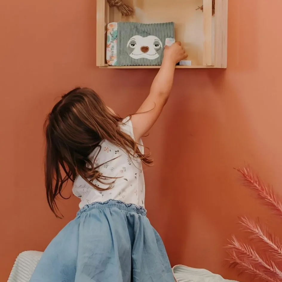 Album photo Chillos le Paresseux|Les Déglingos Best