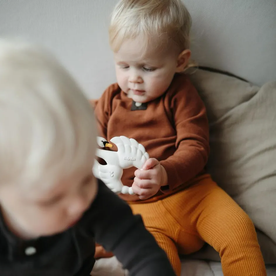 Anneau de dentition Cygne|Natruba Outlet