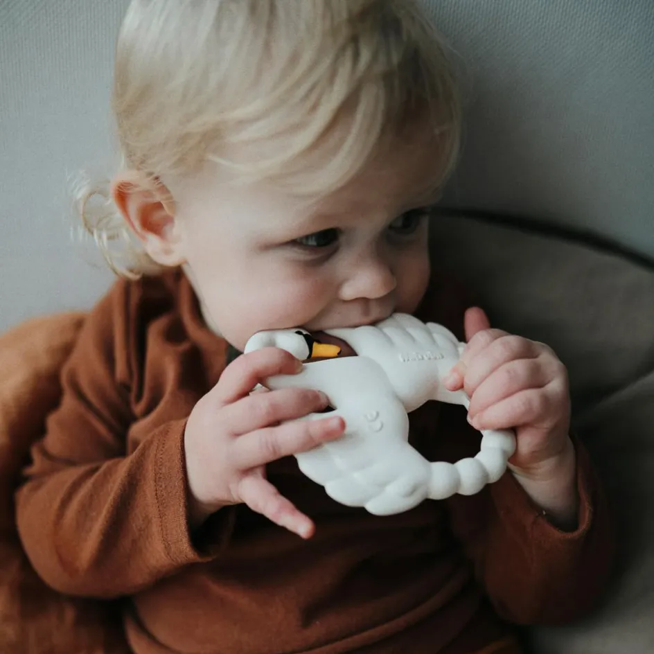 Anneau de dentition Cygne|Natruba Outlet