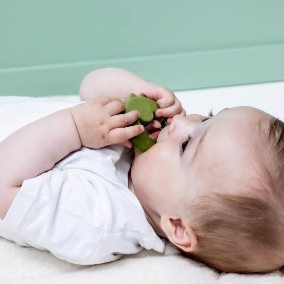 Anneau de dentition réfrigérant Mr. Dino|Trixie