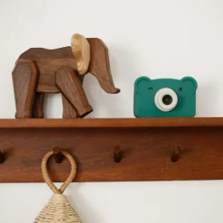 Appareil photo numérique Rookie Moss|Hoppstar Online