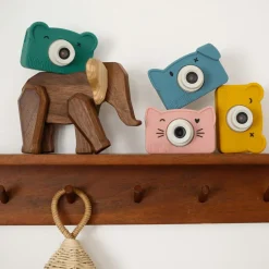 Appareil photo numérique Rookie Moss|Hoppstar Online