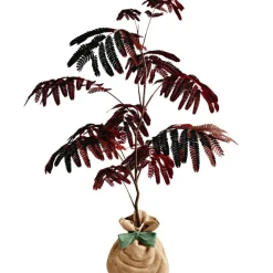 Sale Juste un Arbre Arbre à offrir Arbre à soie pourpre - Joie et équilibre