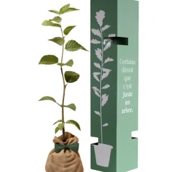 New Juste un Arbre Arbre à offrir Charme commun - Protection et Amour