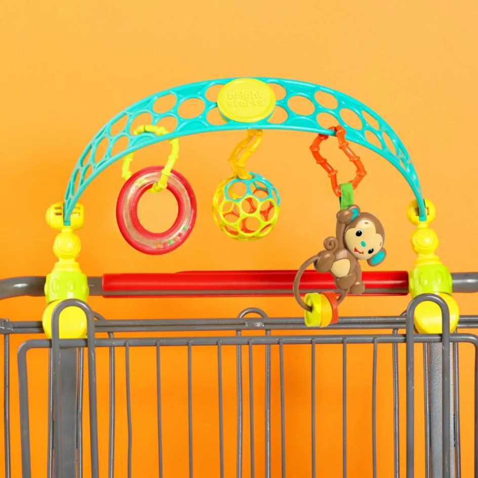 Hot Bright Starts Arche de jeu nomade Oball Flex'n Go