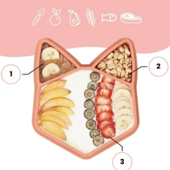 Assiette à compartiments antidérapante Isy renard|Babymoov New