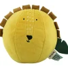Balle sonore Mr. Lion|Trixie Online