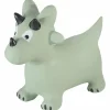 Ballon sauteur Dino|Kindsgut Online