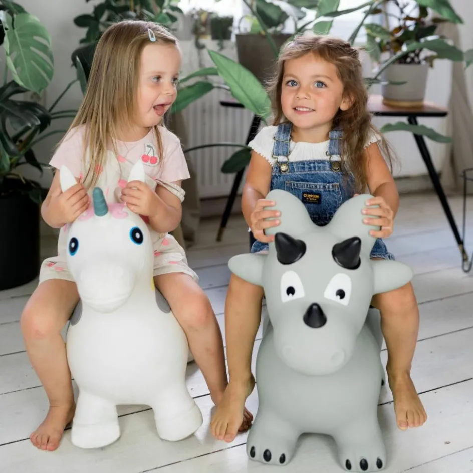 Ballon sauteur Dino|Kindsgut Online