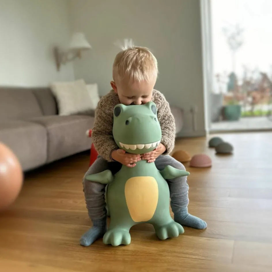 Ballon sauteur Le Dino Dexter|Find that hippo Hot