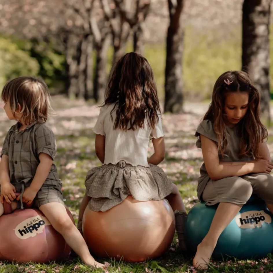 Ballon sauteur or (45 cm)|Find that hippo Online