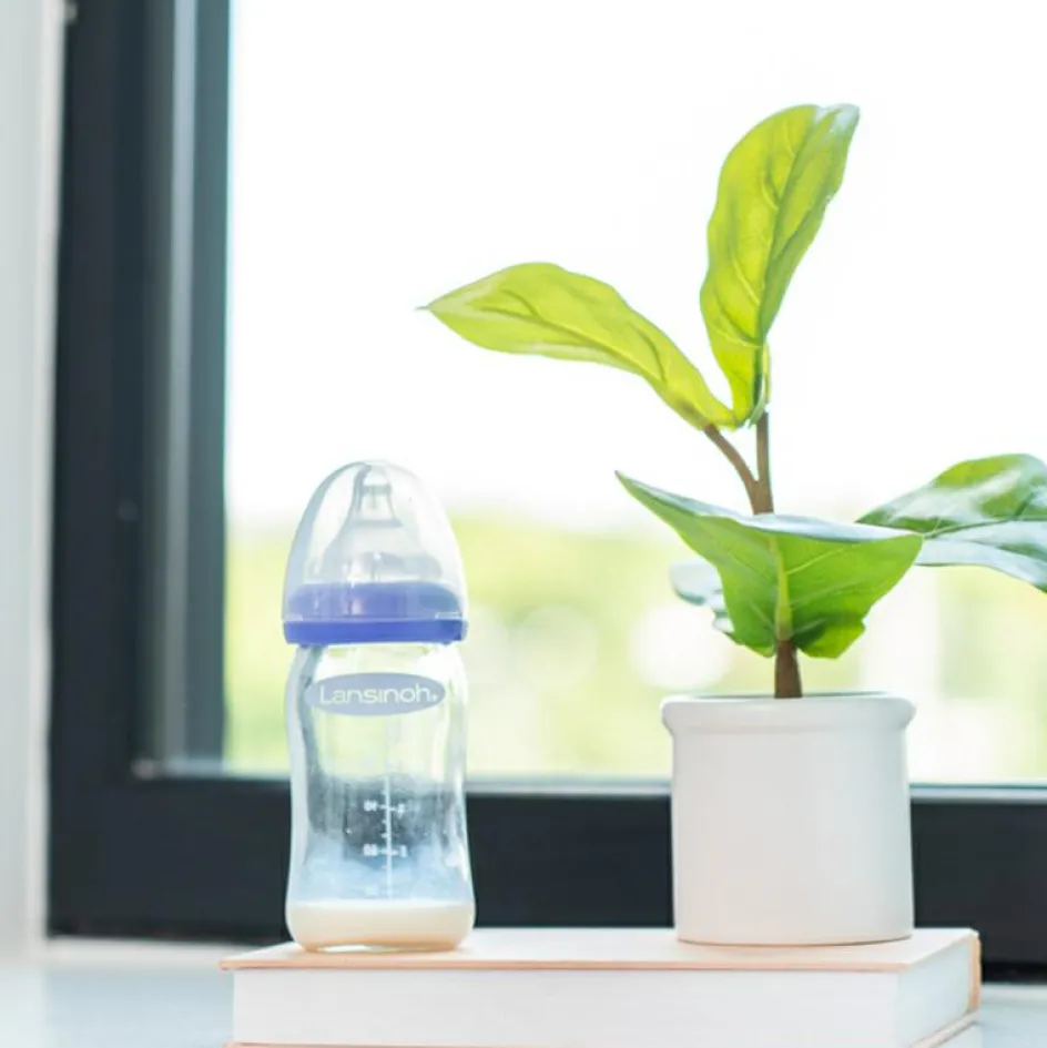 Biberon en verre Natural Wave spécial allaitement (160 ml)|Lansinoh Sale