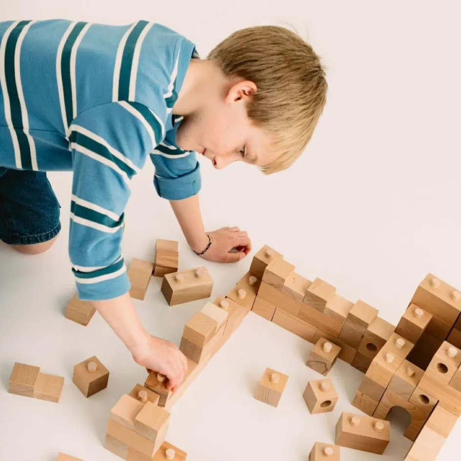 Online Sarbakane Blocs de construction en bois FSC Brick A Block Builder (59 pièces)