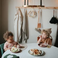 Bol à ventouse en silicone Blush|Mushie