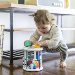 Boîte à formes Zèbre et Chenille|Baby Einstein Sale