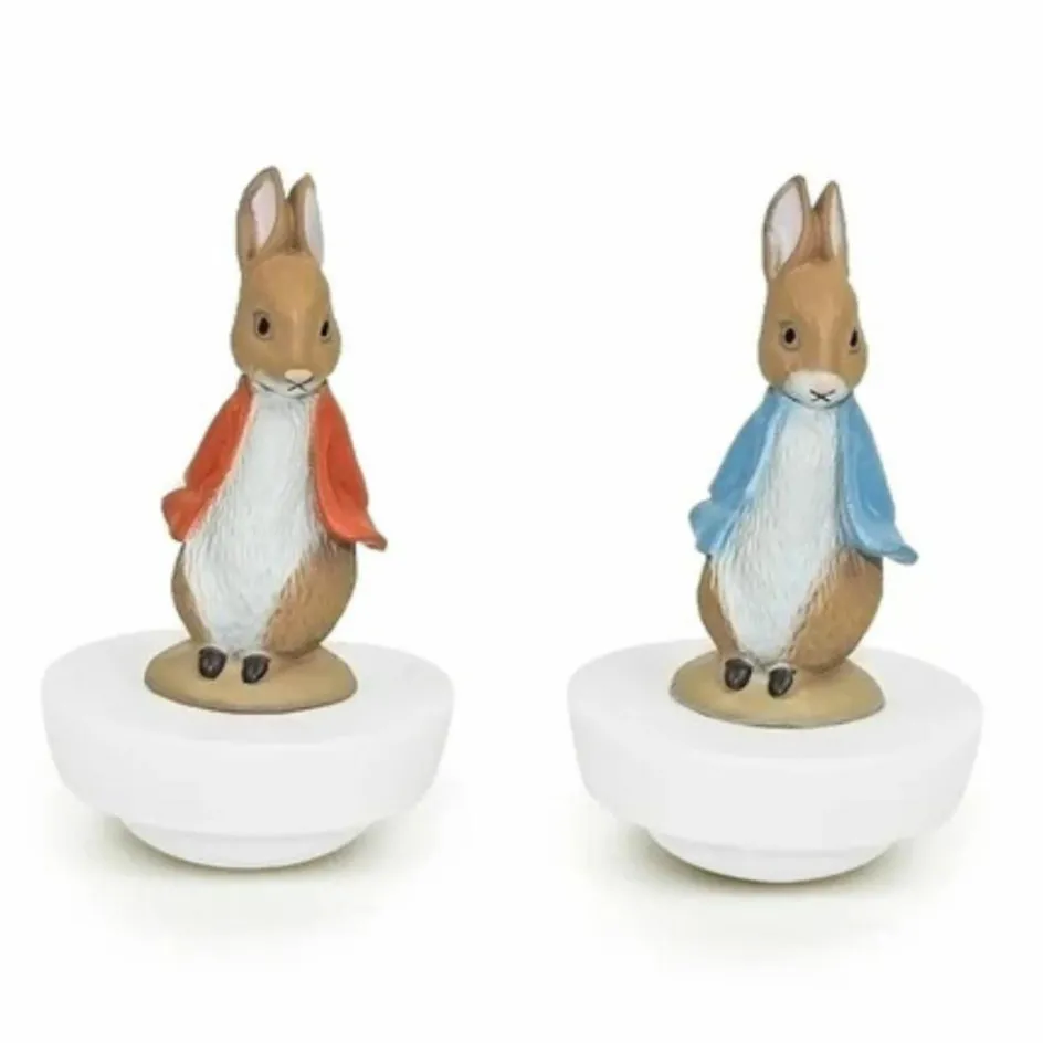 Boîte à musique magnétique Pierre Lapin|Trousselier New