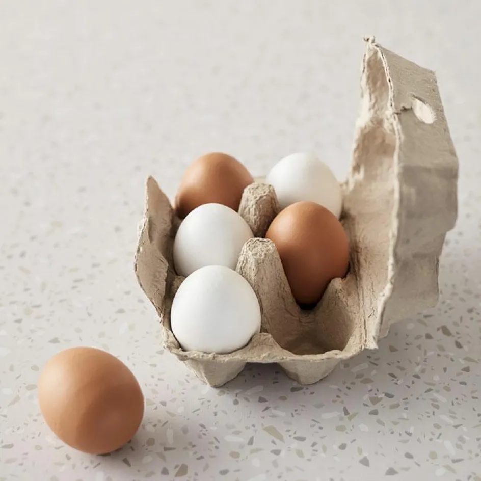 Boîte de 6 oeufs en bois Bistro|Kid's Concept Online