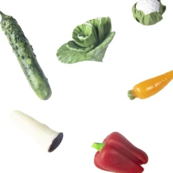 Clearance Petit Boum Bouteille sensorielle Learn bottle Veggies