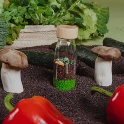 Clearance Petit Boum Bouteille sensorielle Learn bottle Veggies