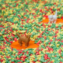 Bouteille sensorielle Spy Animaux de compagnie|Petit Boum Outlet