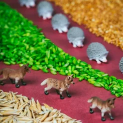 Clearance Petit Boum Bouteille sensorielle Spy Forest