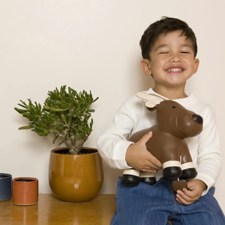 Bruce l'Elan musical|Little Big Friends Sale