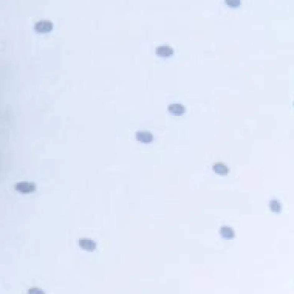 New Candide Cale bébé Panda Pad Premium