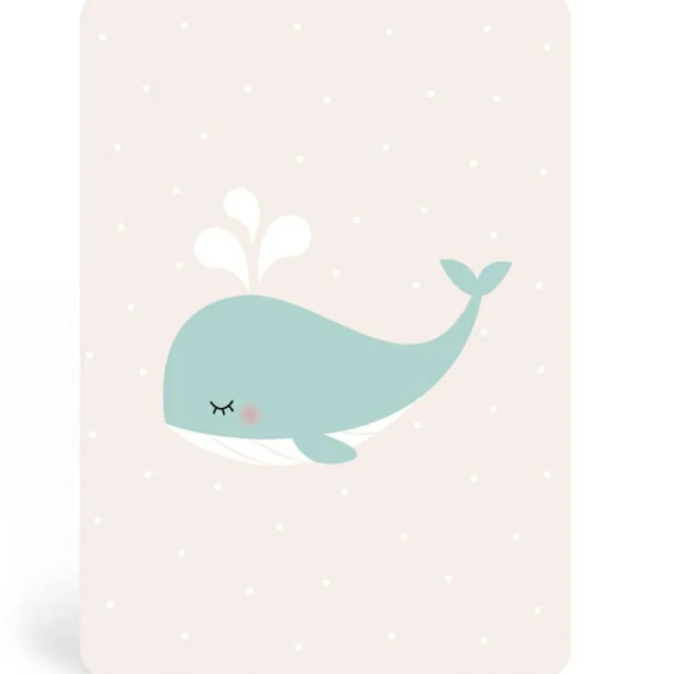 Carte A6 Baleine|Zü Clearance