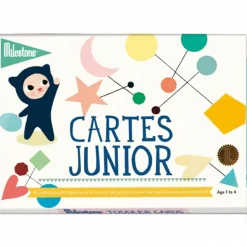 Online Milestone Cartes photos souvenirs Junior (30 cartes)