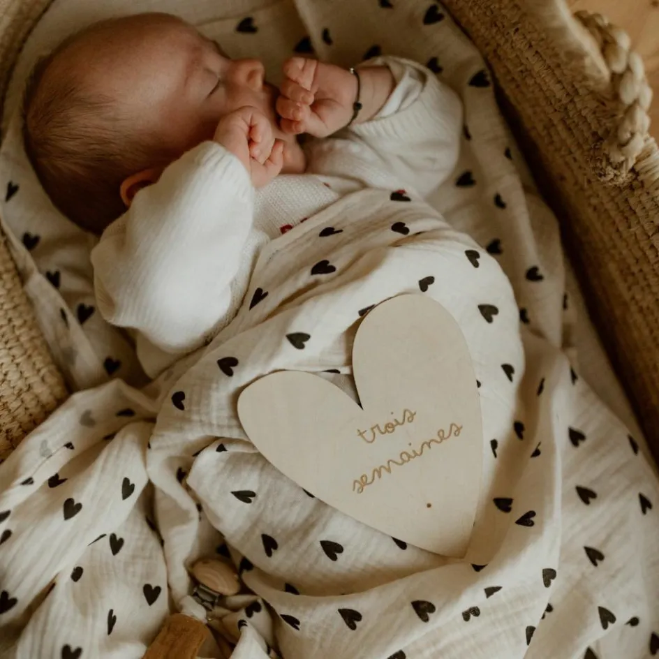 Hot Atelier Wagram Cartes étapes en bois