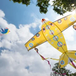 Sale Djeco Cerf-volant avion Maxi Plane