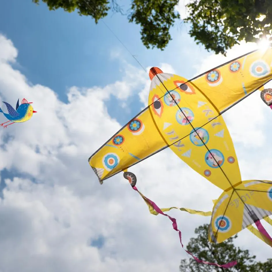 Sale Djeco Cerf-volant avion Maxi Plane