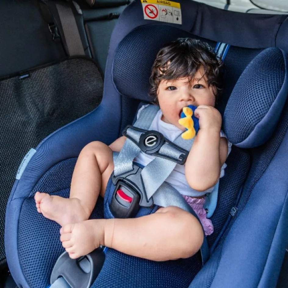 Clip de sécurité pour harnais|Ezimoov New