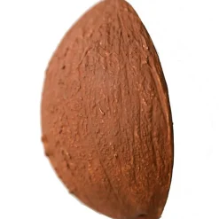 Coco la noix de coco en latex d'hévéa|Oli & Carol