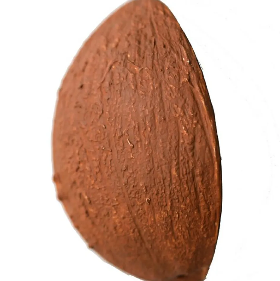 Coco la noix de coco en latex d'hévéa|Oli & Carol