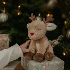 Coffret cadeau Noël|Little Dutch Hot