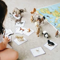 Sale Observe Édition Coffret Giga Mondy (600 cartes Montessori pour développer le langage)