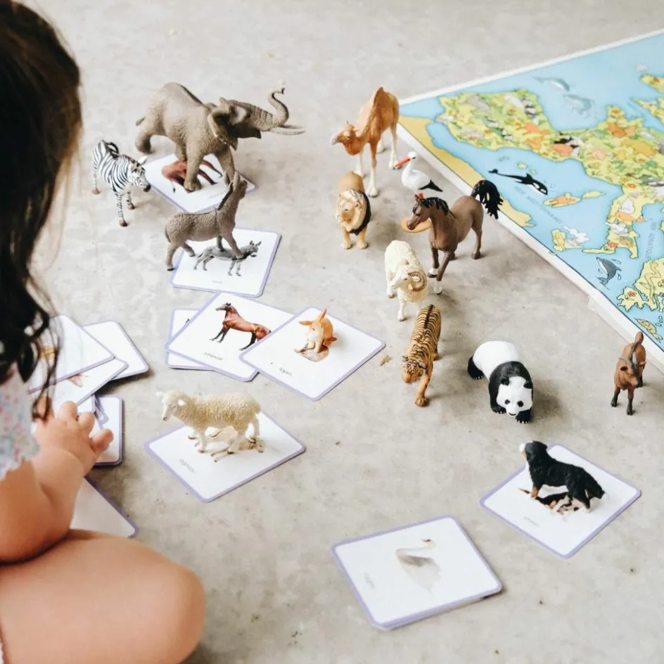 Sale Observe Édition Coffret Giga Mondy (600 cartes Montessori pour développer le langage)