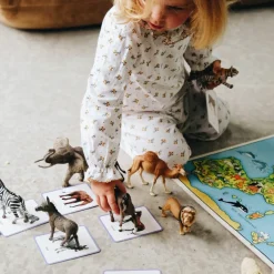 Sale Observe Édition Coffret Giga Mondy (600 cartes Montessori pour développer le langage)